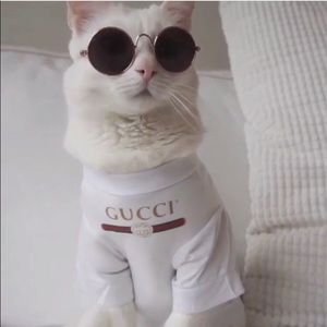 Meet your Posher, Cesar